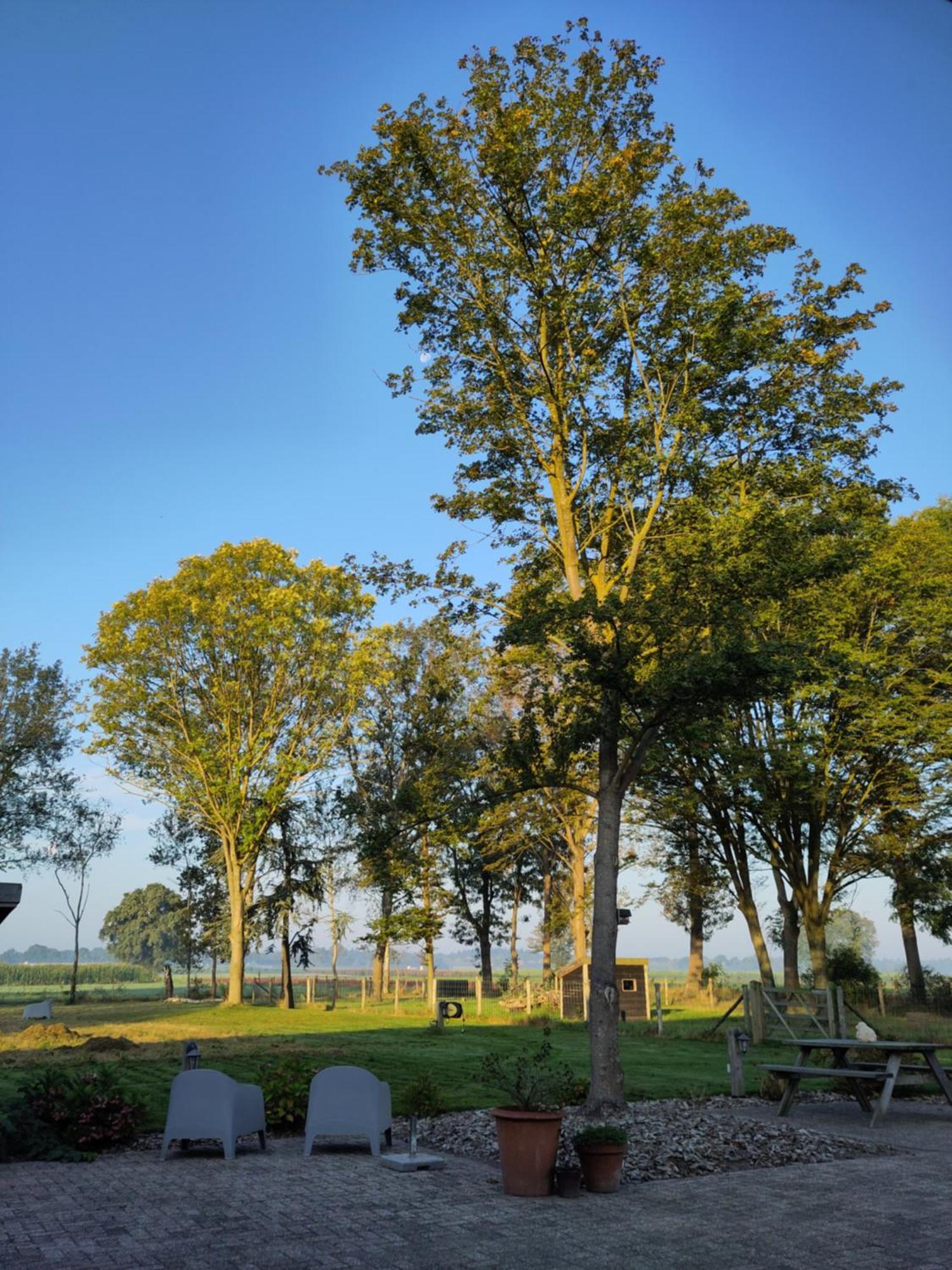 'T Voske Bed & Breakfast Zundert Exterior foto